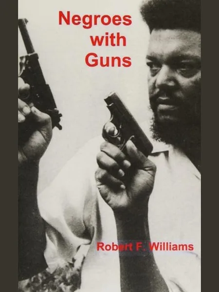 Negroes with Guns cover