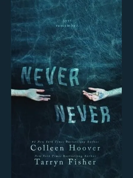 Never Never cover, CreateSpace Independent Publishing Platform 2015