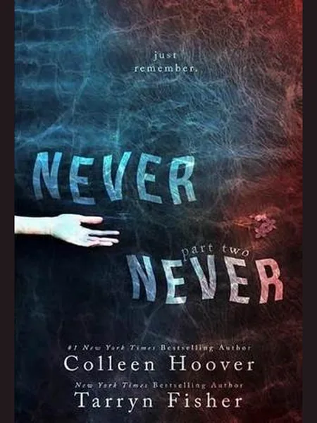 Never Never cover