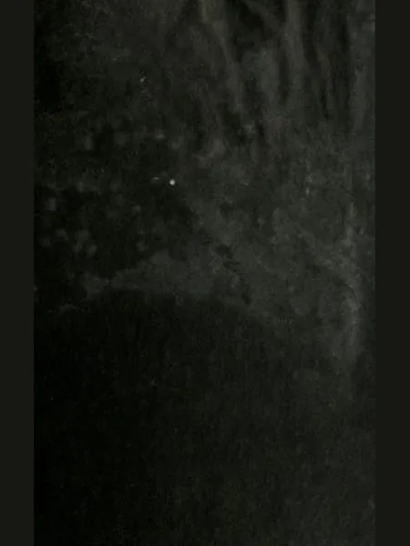 Nine and a Half Weeks cover