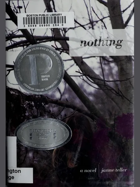 Nothing cover