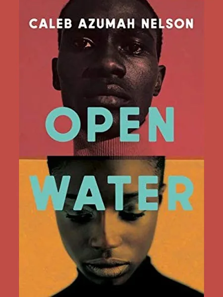 Open Water cover