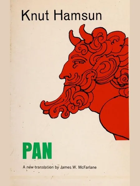 Pan cover