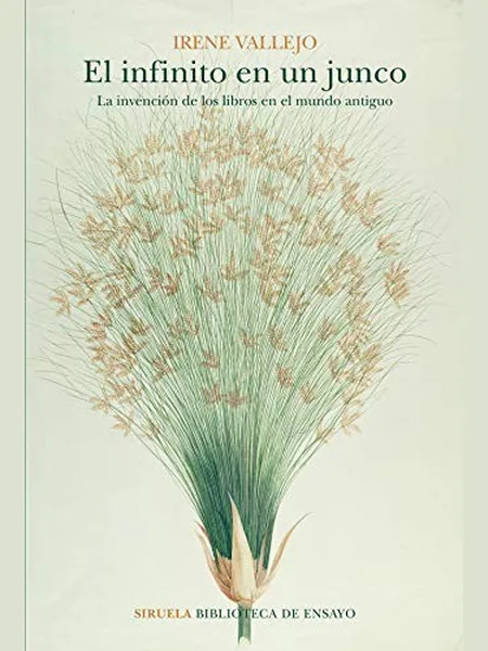 Papyrus cover