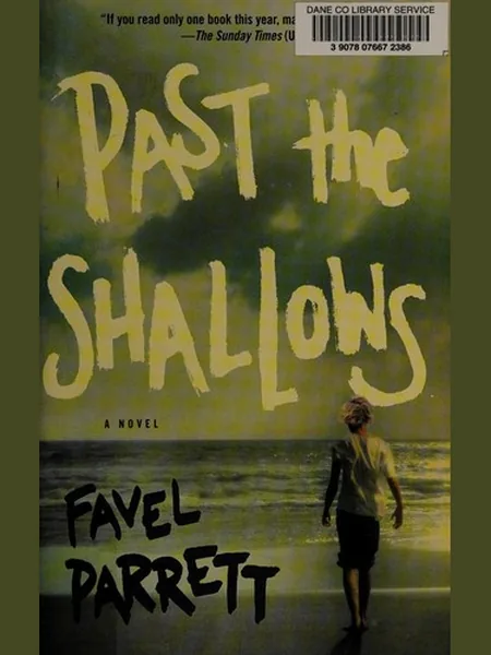 Past the Shallows cover