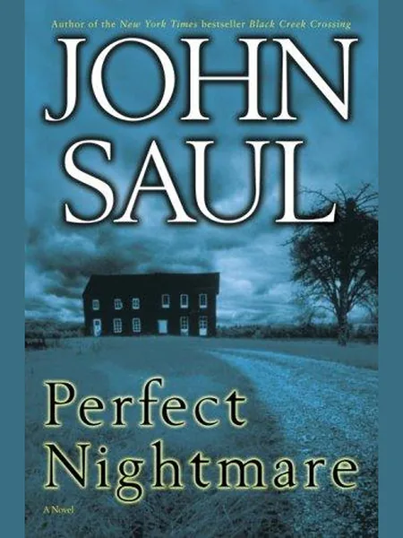 Perfect Nightmare cover