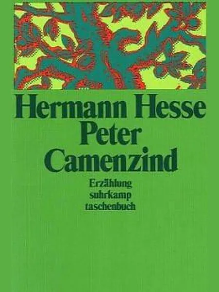 Peter Camenzind cover