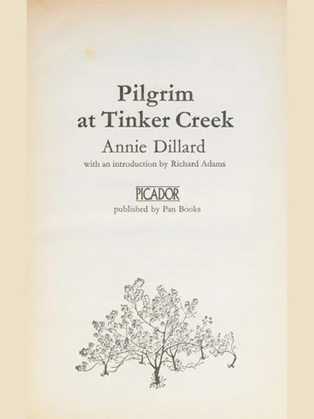 Pilgrim at Tinker Creek cover