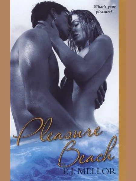 Pleasure Beach first edition cover, Kensington Pub. Corp 2006
