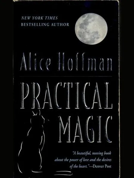 Practical Magic cover