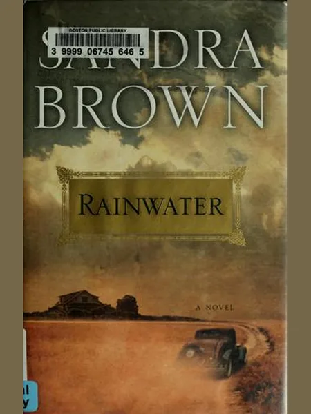 Rainwater cover
