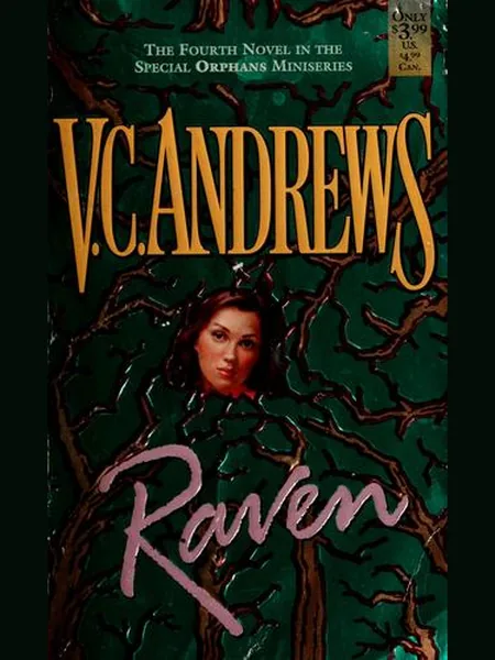 Raven cover