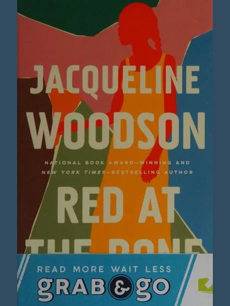 Red at the Bone cover, Riverhead Books 2019