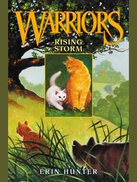 Rising Storm cover