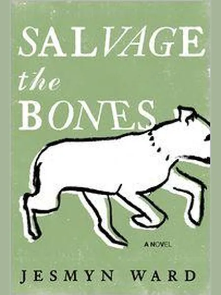 Salvage the Bones cover