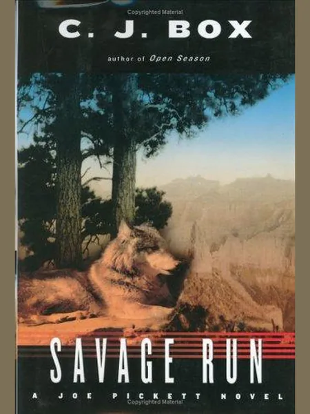 Savage Run cover
