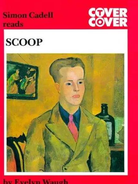 Scoop cover