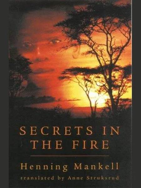 Secrets in the Fire cover