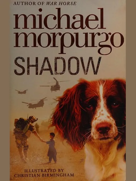 Shadow cover