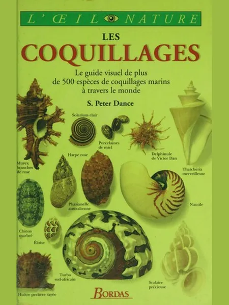 Shells cover