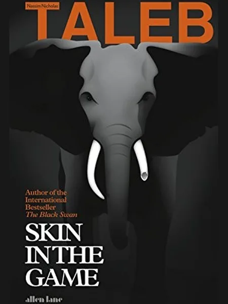 Skin in the Game cover