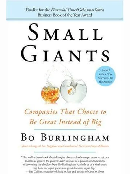 Small Giants cover, Penguin Books 2007