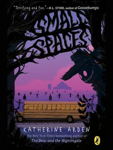 Small Spaces first edition cover, G.P. Putnam's Sons 2018