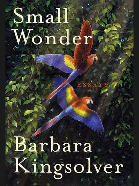 Small Wonder cover