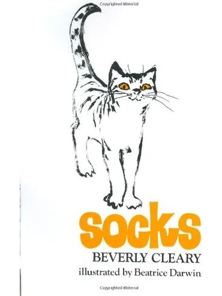 Socks cover