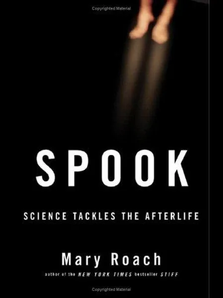 Spook first edition cover, Norton 2005