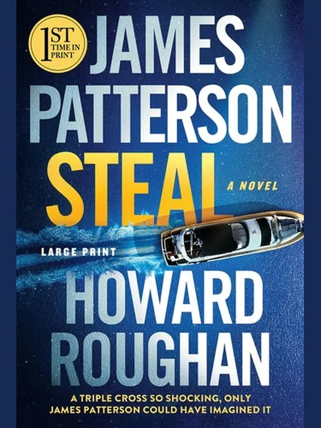Steal cover