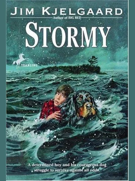 Stormy, cover of another edition (the Collins 1964 cover is not yet photographed)