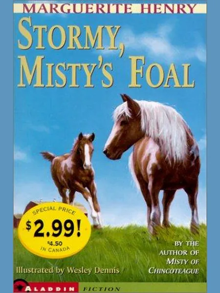 Stormy, Misty's Foal cover