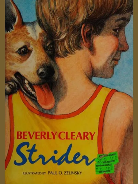 Strider cover