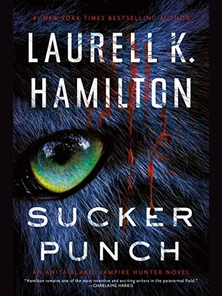 Sucker Punch cover