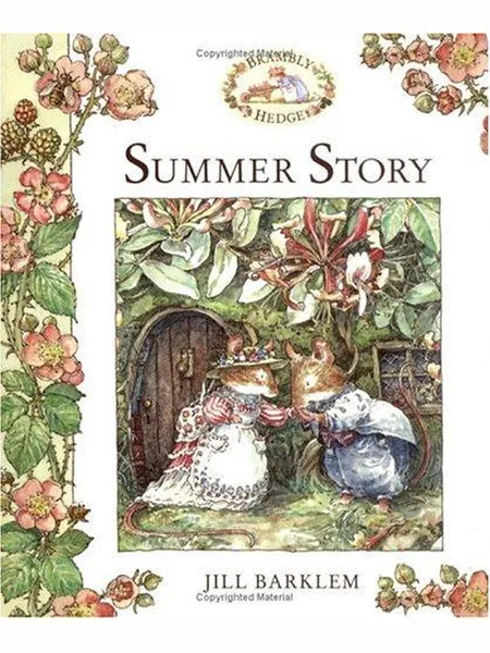 Summer Story cover