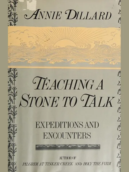 Teaching a Stone to Talk cover