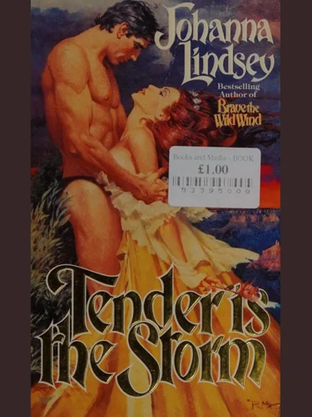 Tender Is the Storm cover, Corgi 1985