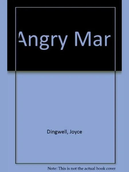 The Angry Man cover