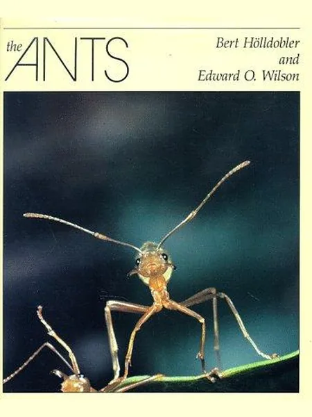 The Ants cover