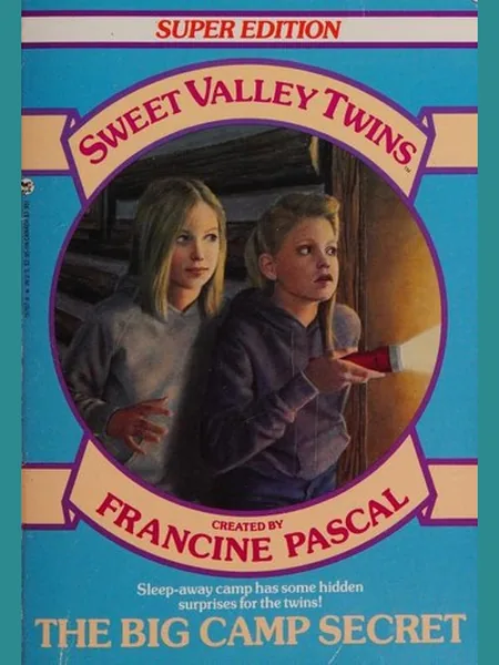 The Big Camp Secret cover