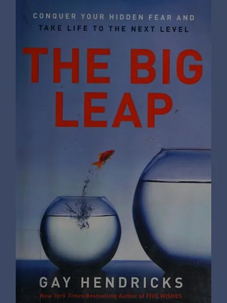 The Big Leap first edition cover, HarperCollins 2009