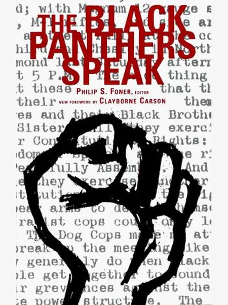 The Black Panthers Speak cover
