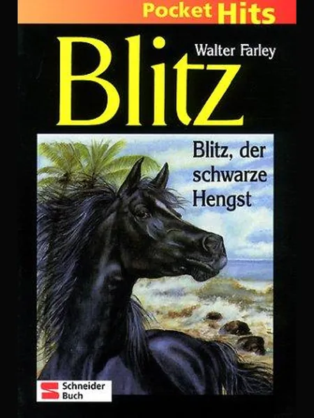 The Black Stallion cover