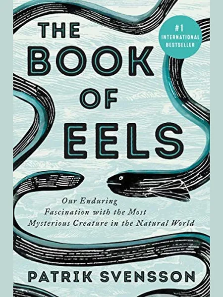 The Book of Eels first edition cover, HarperCollins 2020
