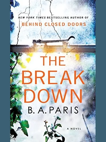 The Breakdown cover
