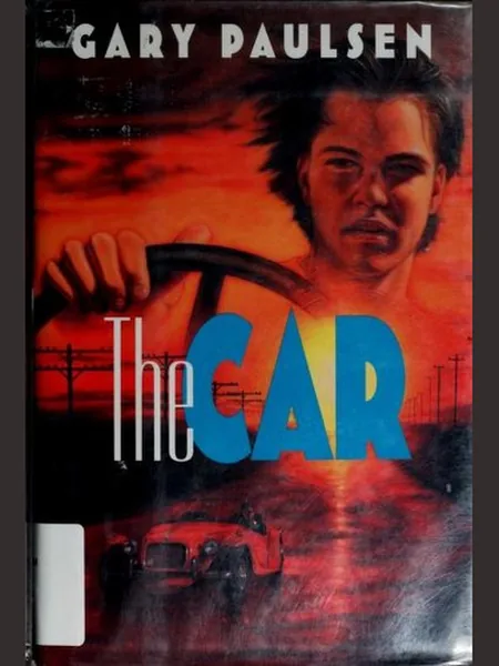 The Car cover