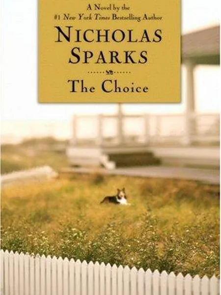 The Choice cover