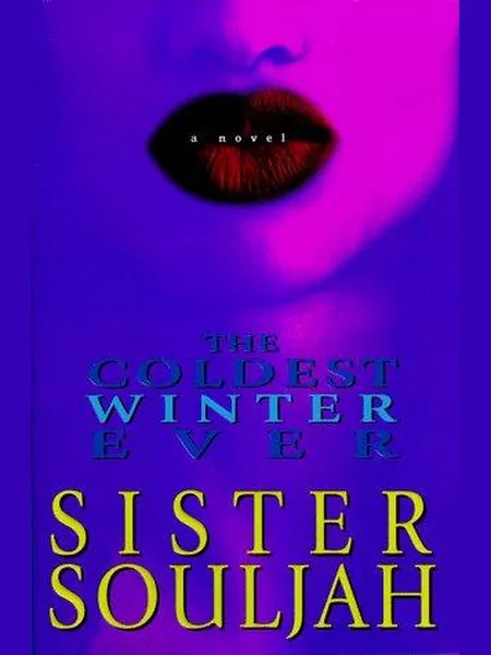 The Coldest Winter Ever cover