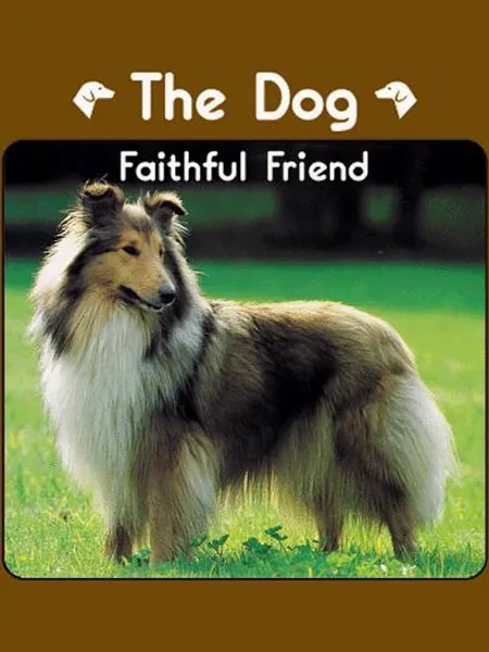 The Dog first edition cover, Charlesbridge 1998